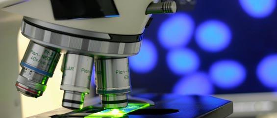 Robert Teifeld, Ph.D. - Biomedical Researcher ["...a complete transformation of who we think we are..."]
