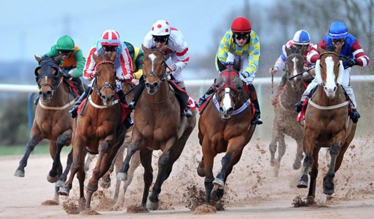 Anaylsis of SRT on the Stress Response in Elite Race Horses [Christopher Manton, Nutritional Biochemist]