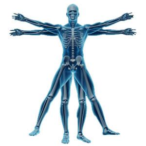 Dr. Joseph Angleitner D.C., DIBAK ["...I've never seen these excellent benefits with a product before."]