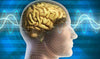 EEG Improvement & EMF [Norman Shealy, M.D. & William Tiller, Professor Emeritus, Stanford University]