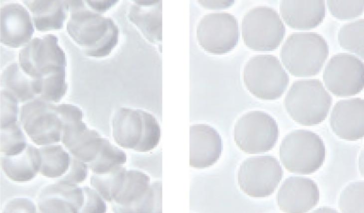 Blood Terrain Improvement [Young, PhD, DSc, Microbiologist]